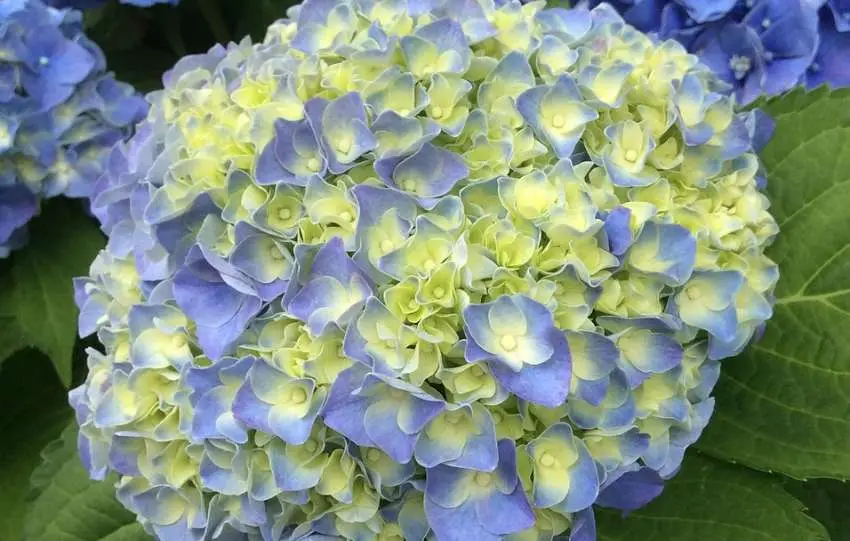 Werkzaamheden in de tuin in mei